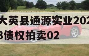 大英县通源实业2023债权拍卖02