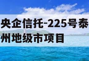 央企信托-225号泰州地级市项目