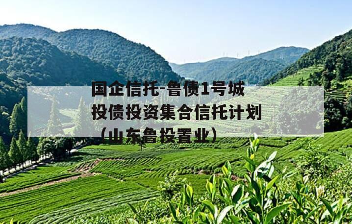 国企信托-鲁债1号城投债投资集合信托计划（山东鲁投置业）