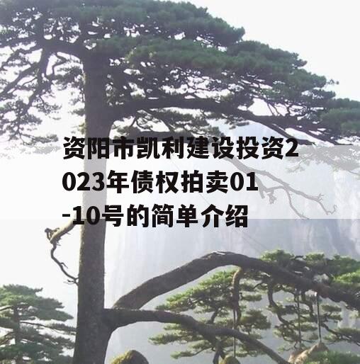 资阳市凯利建设投资2023年债权拍卖01-10号的简单介绍