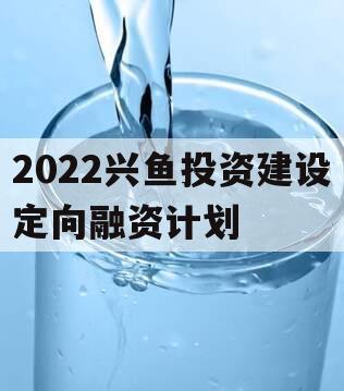 2022兴鱼投资建设定向融资计划