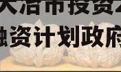 湖北大冶市投资2023年融资计划政府债定融