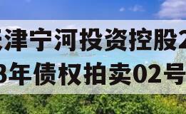 天津宁河投资控股2023年债权拍卖02号