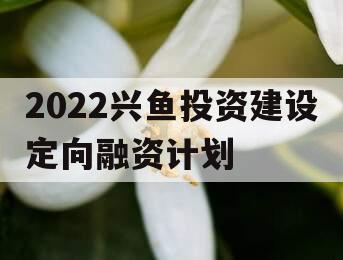 2022兴鱼投资建设定向融资计划