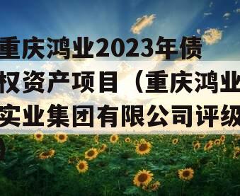 重庆鸿业2023年债权资产项目（重庆鸿业实业集团有限公司评级）