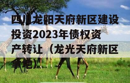 四川龙阳天府新区建设投资2023年债权资产转让（龙光天府新区拿地）