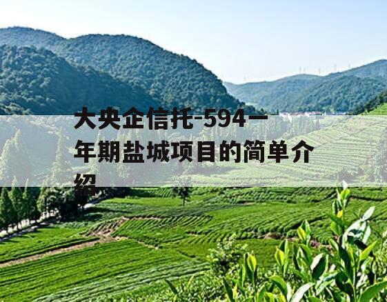 大央企信托-594一年期盐城项目的简单介绍