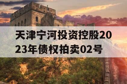 天津宁河投资控股2023年债权拍卖02号