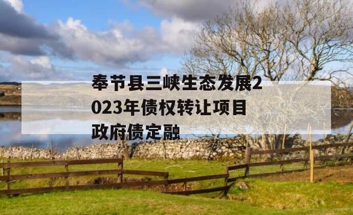 奉节县三峡生态发展2023年债权转让项目政府债定融