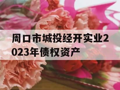 周口市城投经开实业2023年债权资产