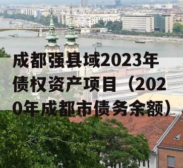 成都强县域2023年债权资产项目（2020年成都市债务余额）