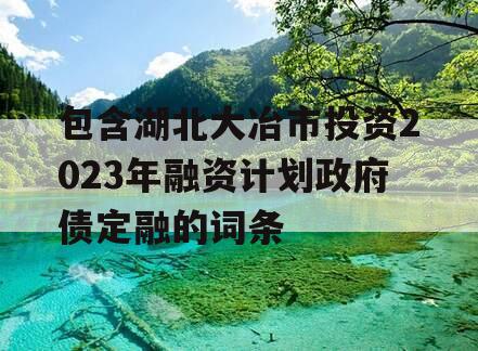 包含湖北大冶市投资2023年融资计划政府债定融的词条