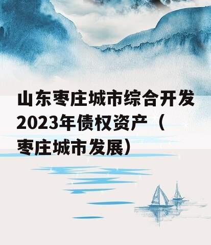 山东枣庄城市综合开发2023年债权资产（枣庄城市发展）