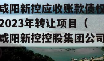 咸阳新控应收账款债权2023年转让项目（咸阳新控控股集团公司）