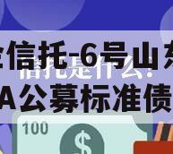 国企信托-6号山东临沂AA公募标准债项目