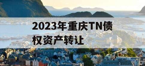 2023年重庆TN债权资产转让