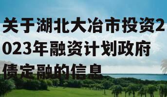 关于湖北大冶市投资2023年融资计划政府债定融的信息