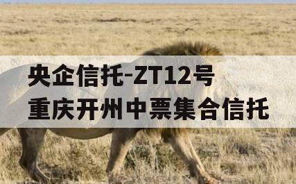 央企信托-ZT12号重庆开州中票集合信托