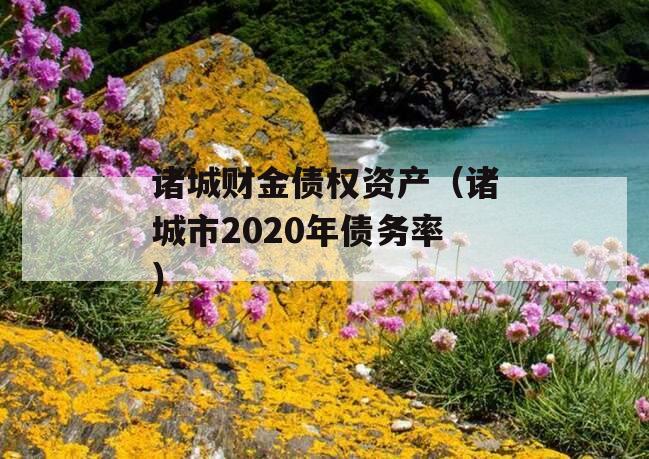 诸城财金债权资产（诸城市2020年债务率）