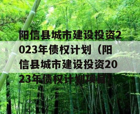 阳信县城市建设投资2023年债权计划（阳信县城市建设投资2023年债权计划项目）