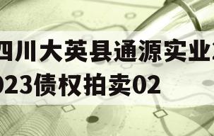 四川大英县通源实业2023债权拍卖02