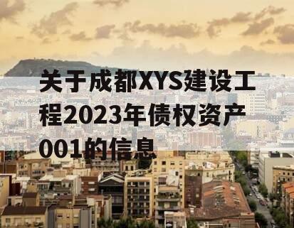 关于成都XYS建设工程2023年债权资产001的信息