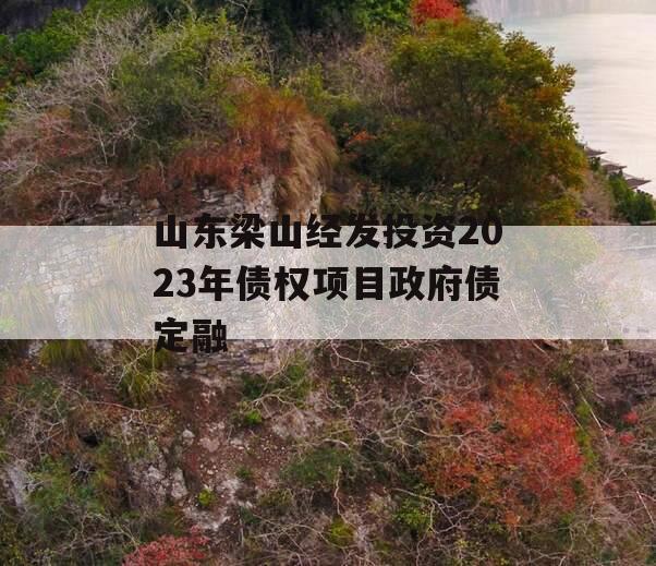 山东梁山经发投资2023年债权项目政府债定融