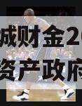 山东诸城财金2023年债权资产政府债定融