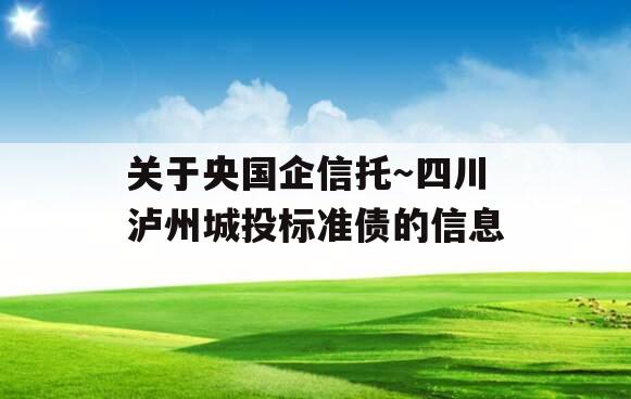 关于央国企信托～四川泸州城投标准债的信息