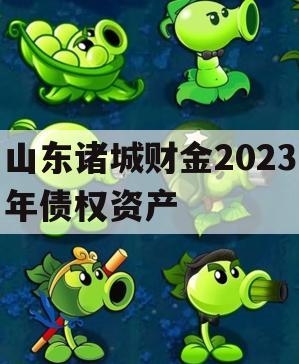 山东诸城财金2023年债权资产