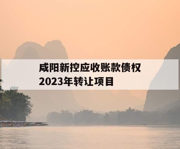 咸阳新控应收账款债权2023年转让项目