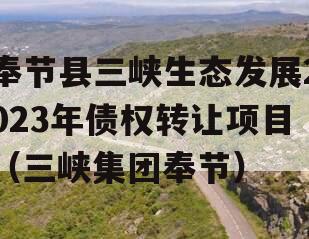 奉节县三峡生态发展2023年债权转让项目（三峡集团奉节）