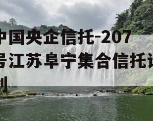 中国央企信托-207号江苏阜宁集合信托计划