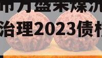 重庆市万盛采煤沉陷区综合治理2023债权资产