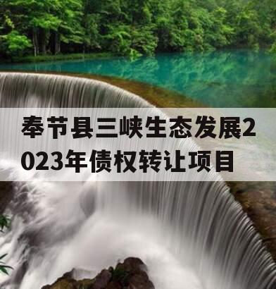 奉节县三峡生态发展2023年债权转让项目