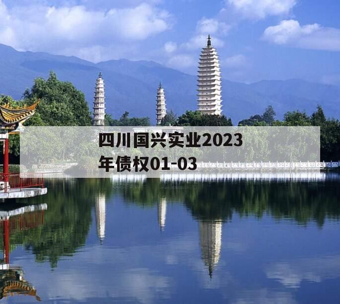 四川国兴实业2023年债权01-03