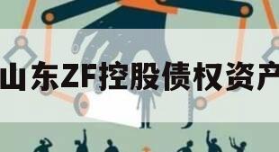 山东ZF控股债权资产