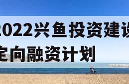 2022兴鱼投资建设定向融资计划