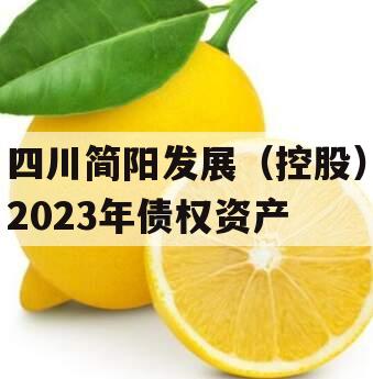 四川简阳发展（控股）2023年债权资产