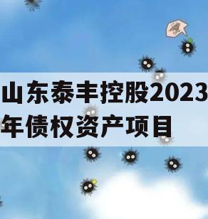 山东泰丰控股2023年债权资产项目