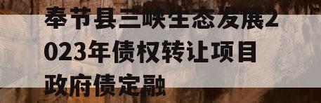 奉节县三峡生态发展2023年债权转让项目政府债定融