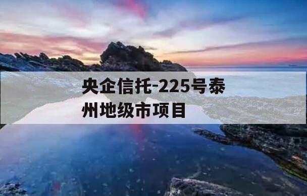 央企信托-225号泰州地级市项目