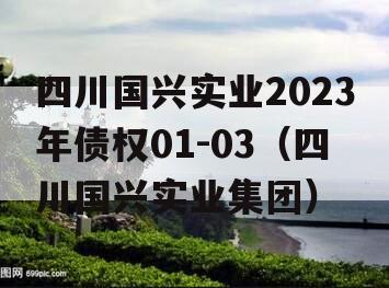 四川国兴实业2023年债权01-03（四川国兴实业集团）