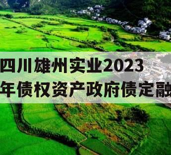 四川雄州实业2023年债权资产政府债定融