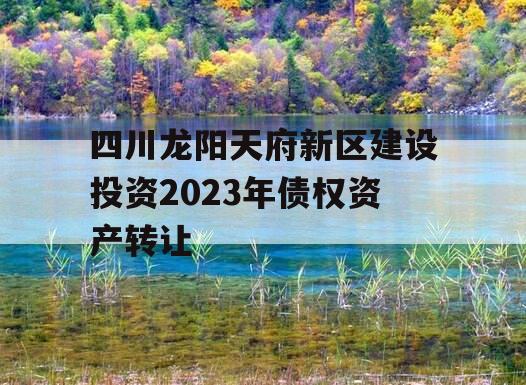 四川龙阳天府新区建设投资2023年债权资产转让