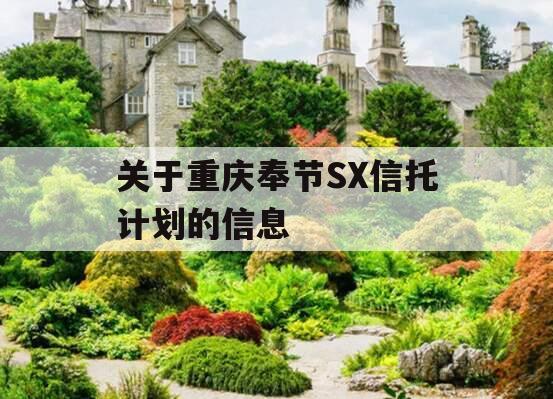 关于重庆奉节SX信托计划的信息