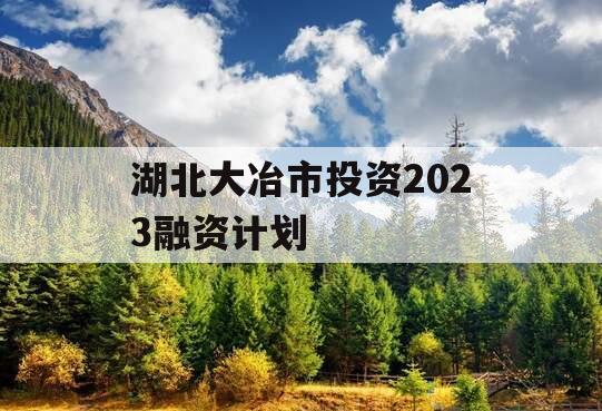 湖北大冶市投资2023融资计划