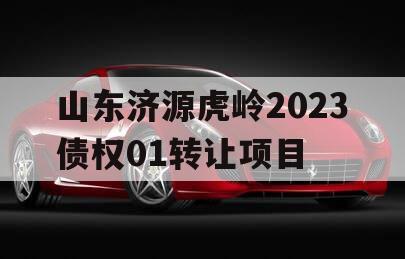 山东济源虎岭2023债权01转让项目