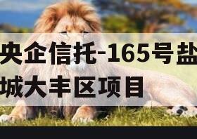 央企信托-165号盐城大丰区项目