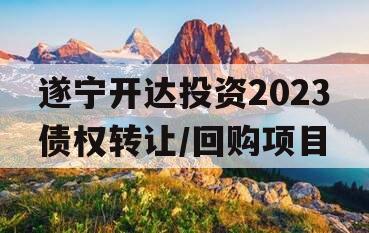 遂宁开达投资2023债权转让/回购项目